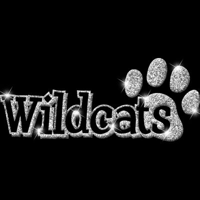 GLT17   SILVER GLITTER Thumbnail